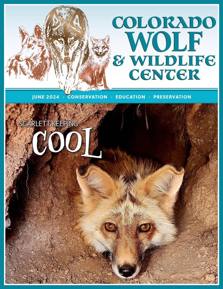 SamanthasLaw's tweet image. #CWWC wolfeducation.org  ￼