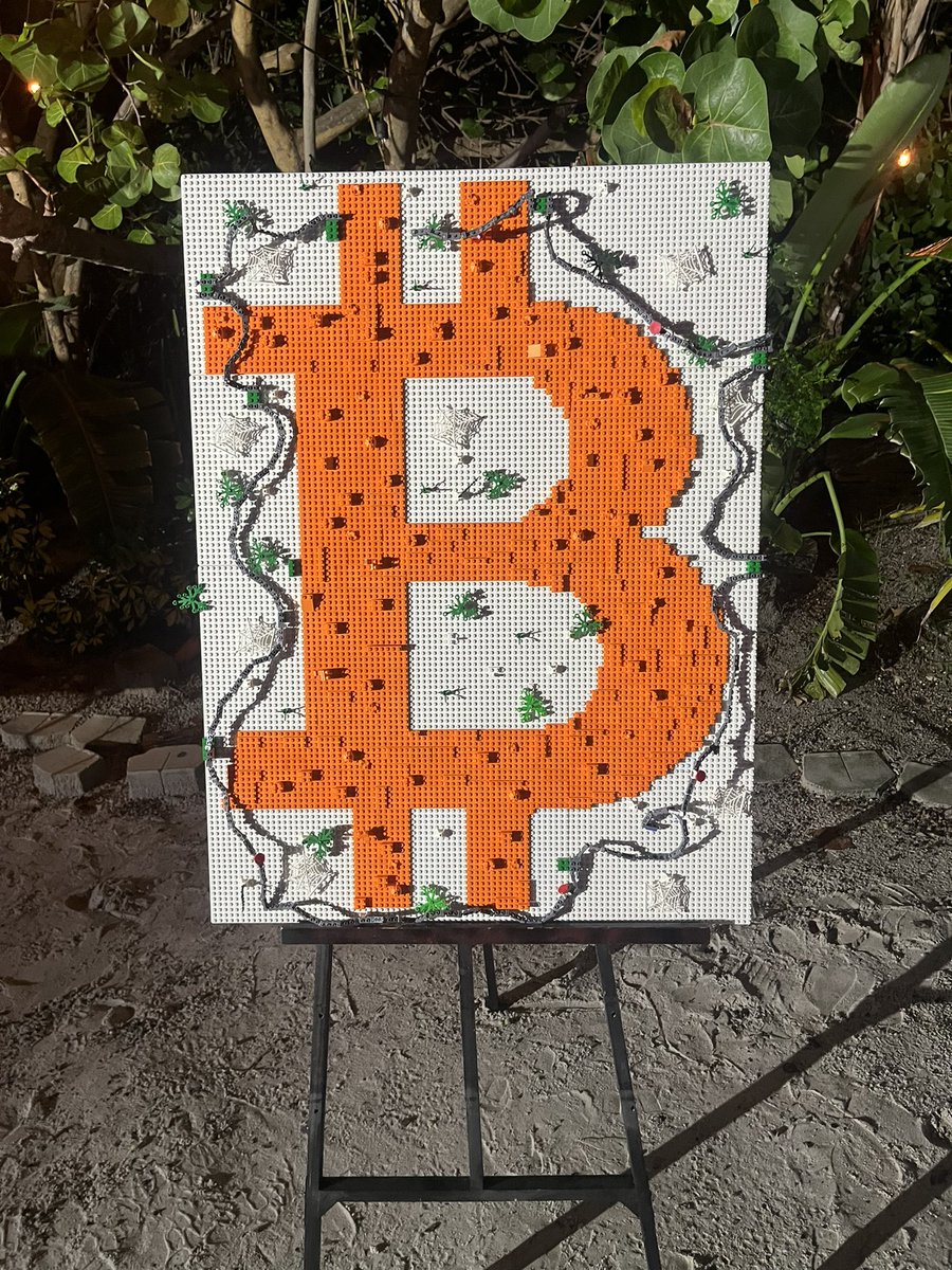 Miami Nights 🌙🧡 $btc