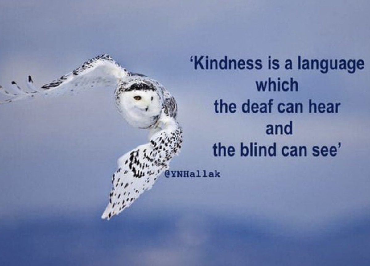 <a href="/l_tyb5/">مشـــ🌺ــــــعل🥀 العتيبـــ🌺ـــــ🥀ــــــي🌺</a>