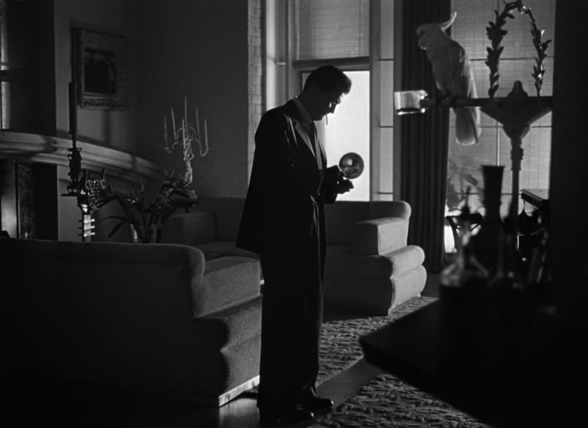 palomadato's tweet photo. Young Man with a Horn (1950). Dir: Michael Curtiz https://t.co/LDTYwyZh0S