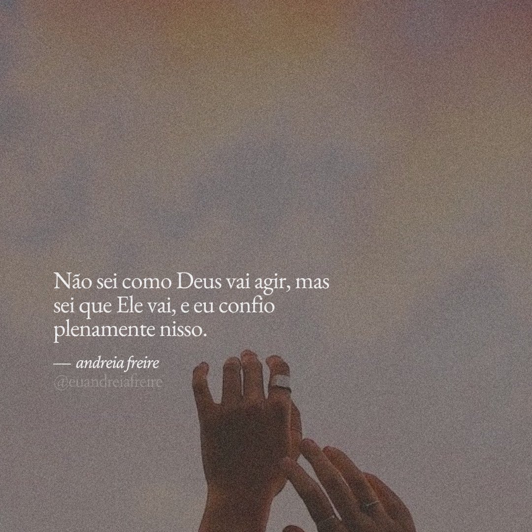 andréia freire tweet media