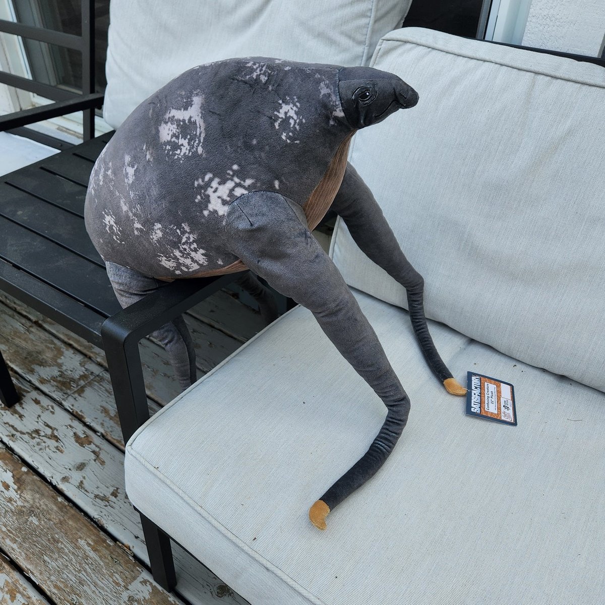 Wait What! WTF!? (@waitwhat_wtf) on Twitter photo 