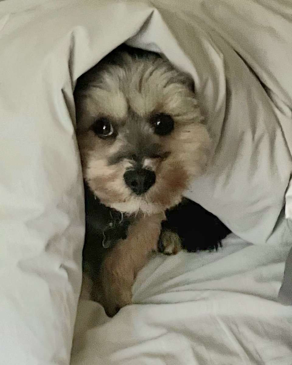 Chris Callahan tweet media