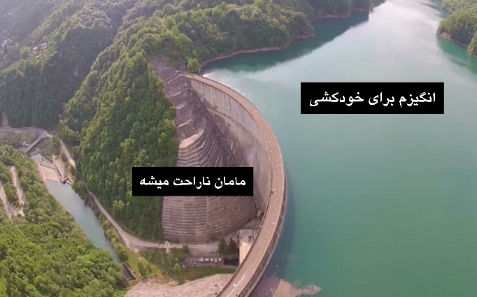 mehdilimit's tweet image. 