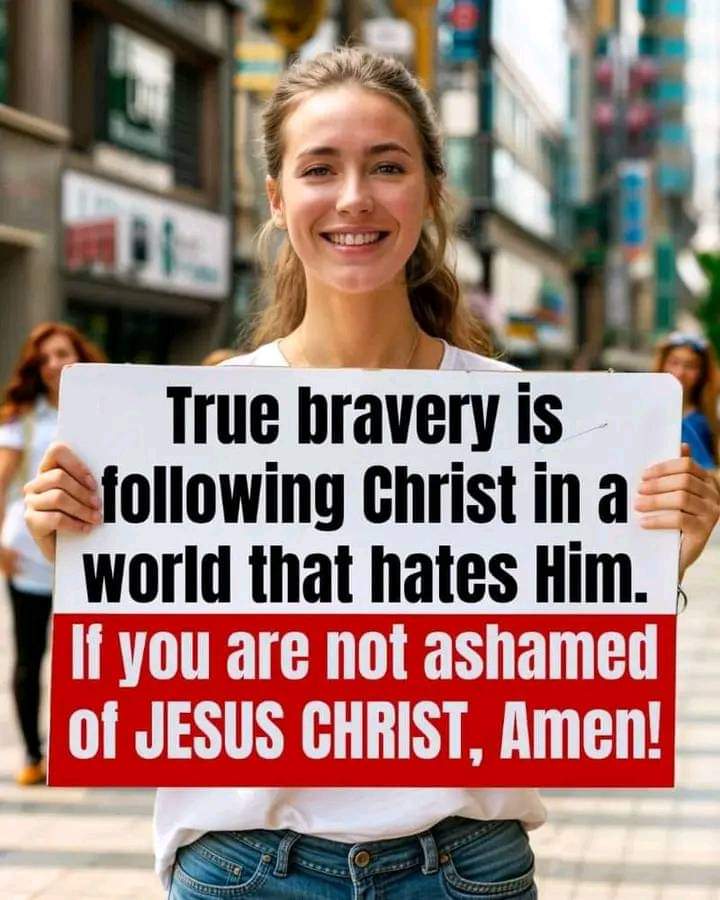 Lisa Lim (@allbygrace_) on Twitter photo 