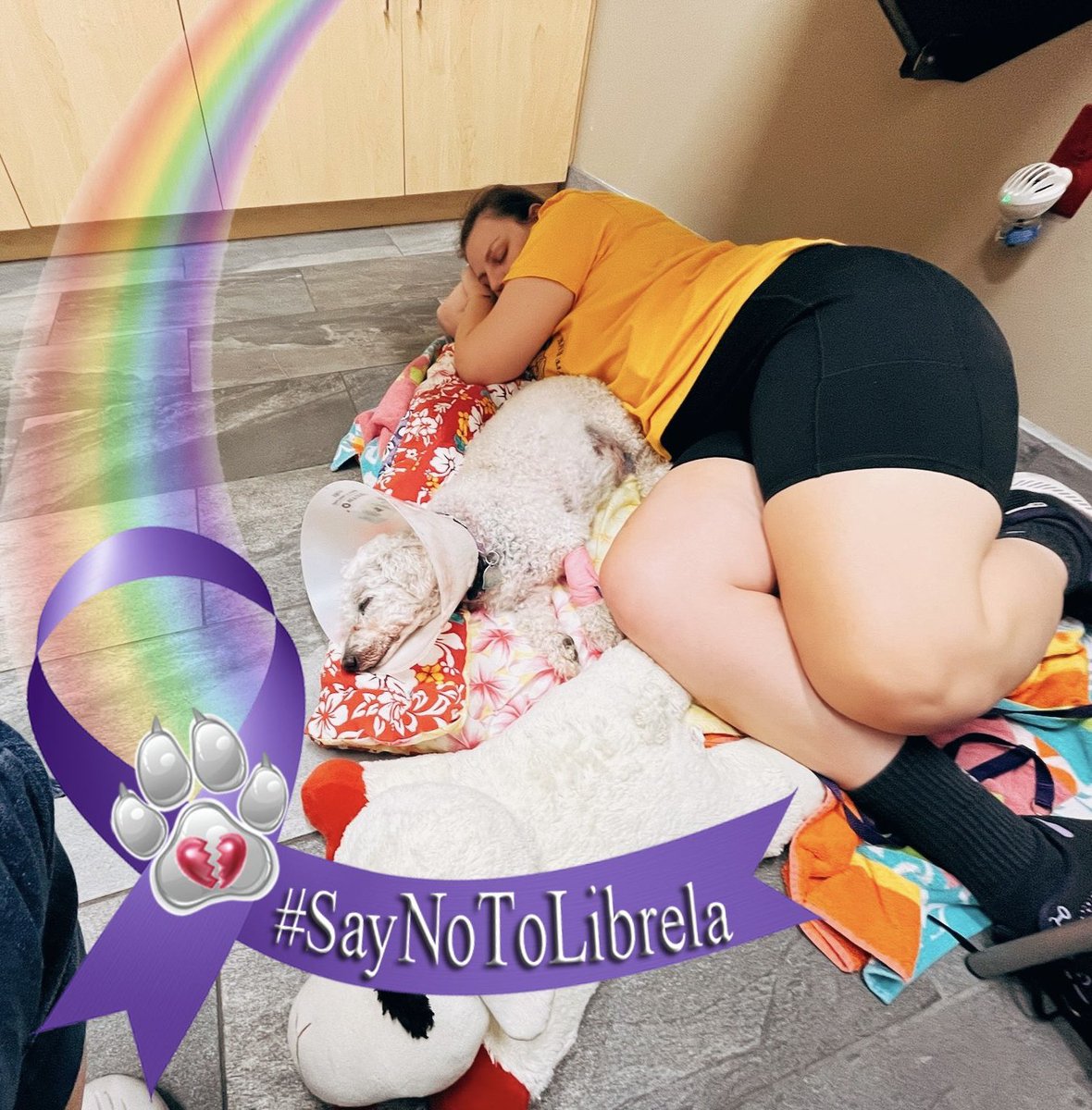 Looking for anyone that has/had a pet experience adverse reactions from the #injection Librela by <a href="/Zoetis/">Zoetis</a> …. We need your help, please DM me ❤️‍🩹 #solensia #librela #zoetis #pfizer #pharma #BigPharma