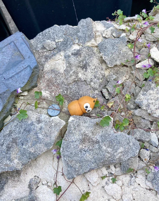 "Who found who? A story in 4 parts" 