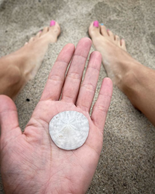 Beach days can be so magical&hellip;&hellip;. https://t.co/awFh40tD2f