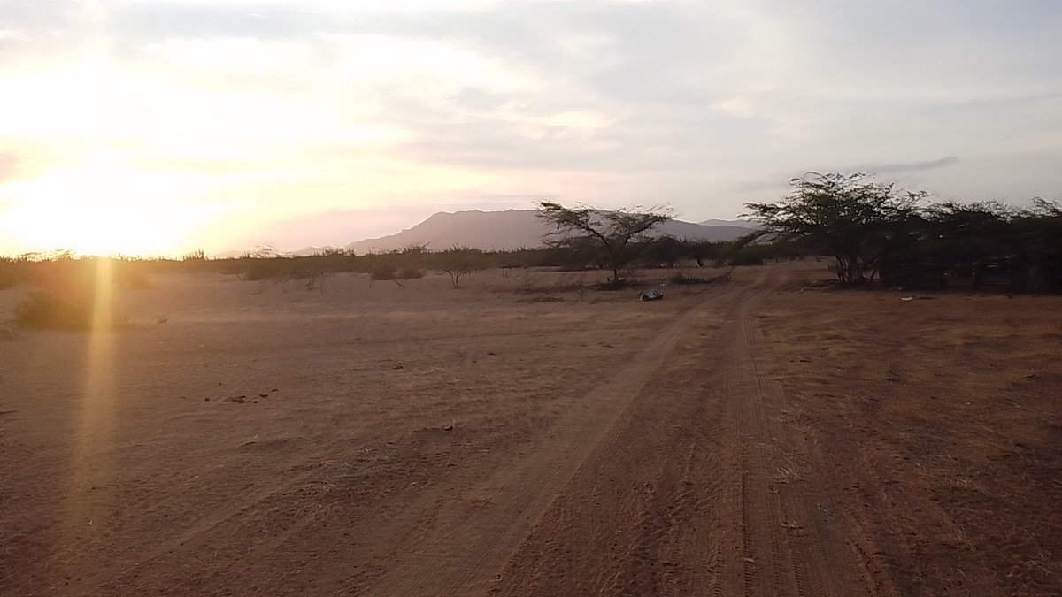 Mari Bravo (@maribravo294800) on Twitter photo 