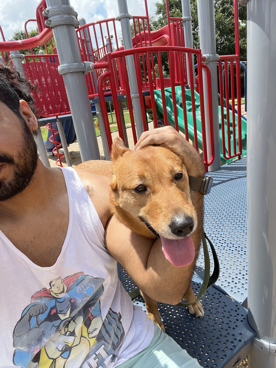 Took the good boy to the park today 🐶☀️