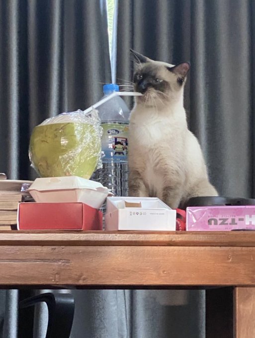 rapazzzzzzzz https://t.co/ewU4RVHw8G<a href="/tag/votelgbtq"class="tags"><span>#votelgbtq</span></a>