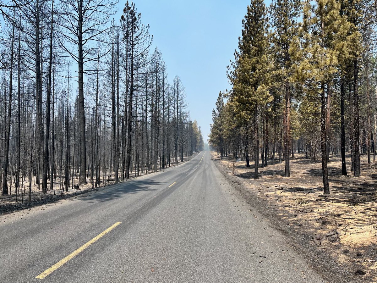 CentralORFire's tweet photo. Yesterday on the #darlene3fire, IC trainee Newey, toured BLM &amp; FS  lands that had previous fuel treatments in the fire area with Senator Merkley’s staffer Gavin Coble. These photos are examples of the significant difference in fire intensity between treated and non treated areas. https://t.co/DjsZZcl9tQ