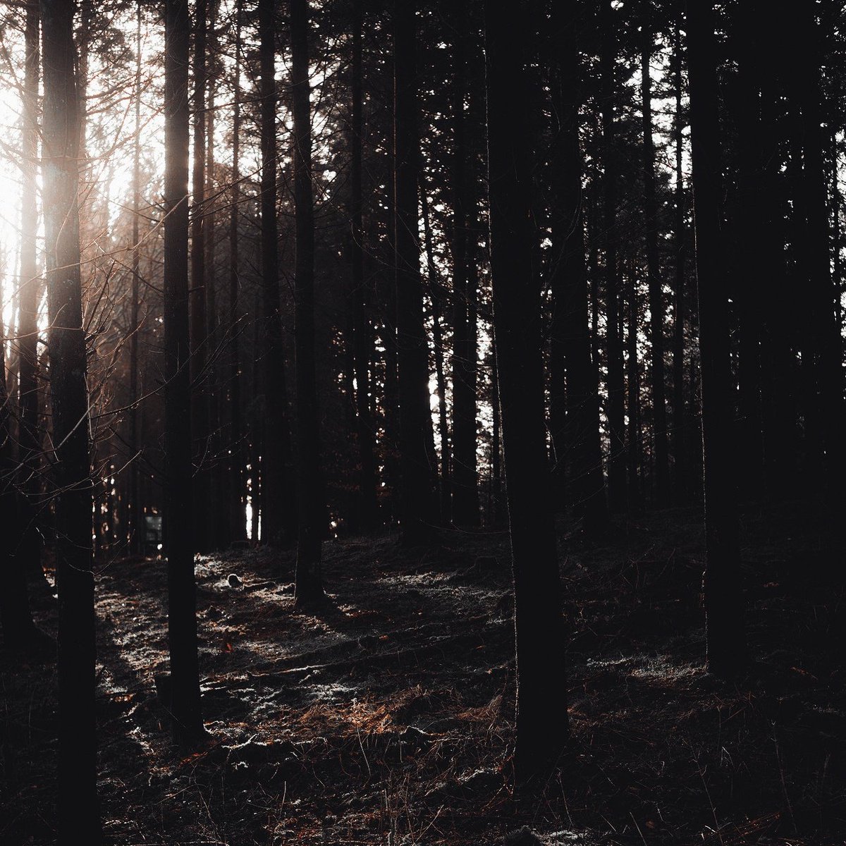 HeirOfequlibrum's tweet image. ⠀
⠀⠀⠀⠀⠀⠀𝗔𝗟𝗟𝗔𝗡𝗔 𝗗𝗝𝗢 𝗦𝗢𝗟𝗢 
⠀⠀⠀⠀⠀⠀▬▬▬▬▬▬▬▬▬
                   Dαughter of Jαcen αnd Tenel Kα
                   Cʜᴜᴍᴇ'ᴅᴀ
                  𝐹𝑢𝑡𝑢𝑟𝑒 𝑄𝑢𝑒𝑒𝑛 𝐽𝑒𝑑𝑖 
⠀⠀⠀