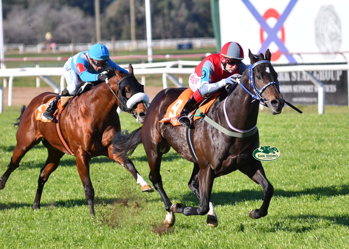 HipSanIsidro's tweet photo. ✅ En el #HSI se disputó el #GPEstrellasSprint (G1 - 1000 metros), donde se impuso #Labrado (4 años, Le Blues), del #StudDonAriel, entrenado por #AngelBonetto y dirigido por #WilsonMoreyra. https://t.co/VADia012e5