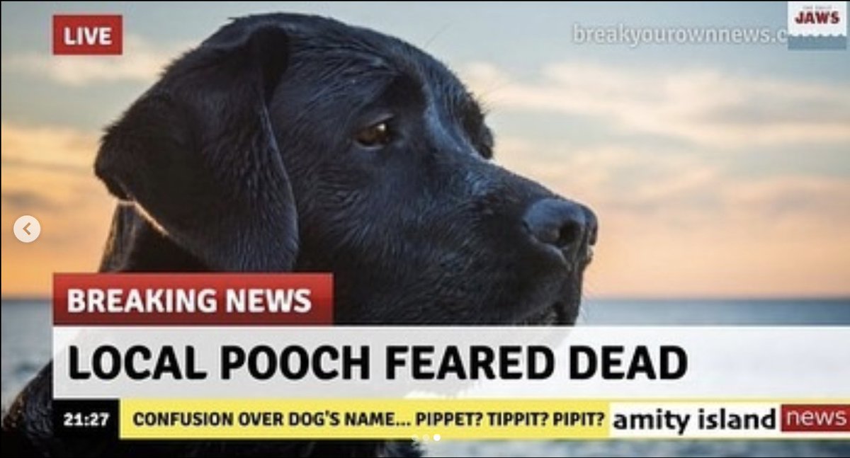 The Daily Jaws tweet media
