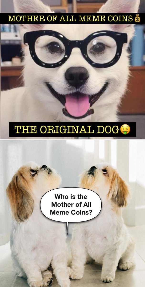 💥Woww..Mother of All Meme Coins🤑 

#OgDog coin #crypto #cryptocurrency #memecoin #memecoins #meme #OriginalDog #SpreadLove #positive 
#cryptoinvesting #memecoinsol #support