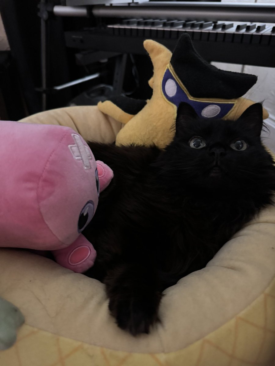 scott (VALORANT) tweet media