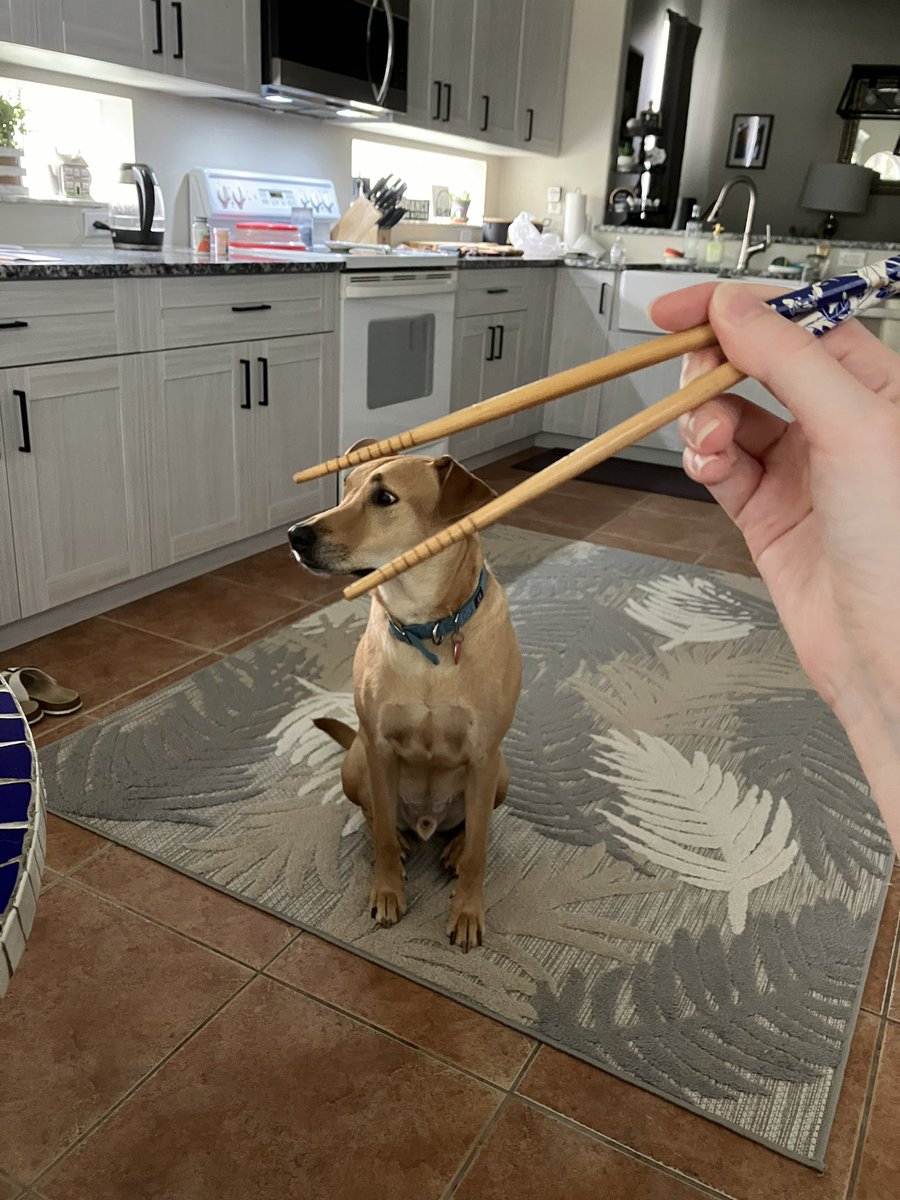 brurtleturtle's tweet image. Yummy