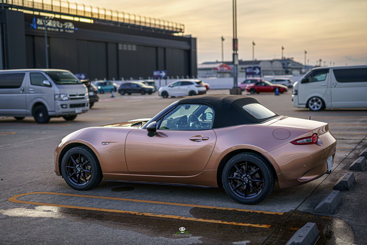 ぱんちゃん tweet media