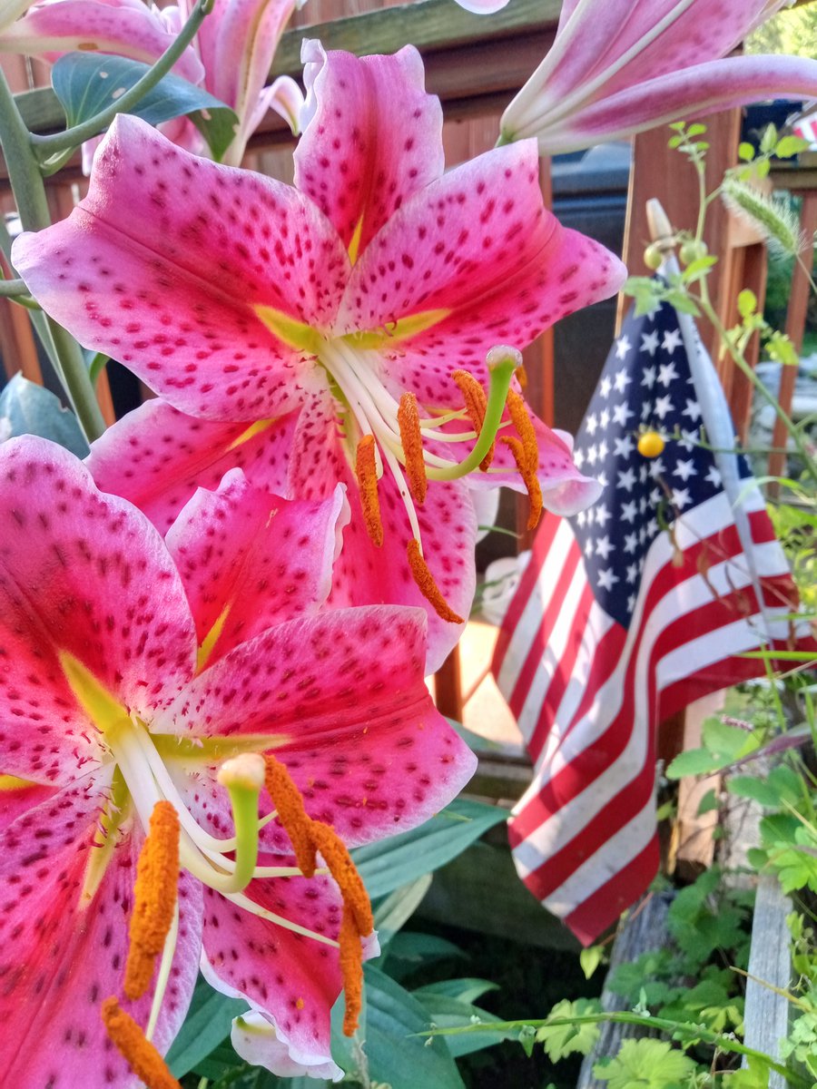 Redneck'R Offroad tweet media