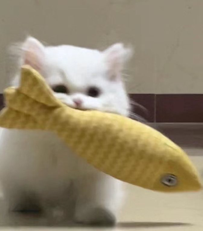 뿌 (@sheepbabu) on Twitter photo 