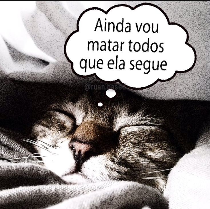 memes pra quem tem baixa autoestima  (@autoestimaposts) on Twitter photo 