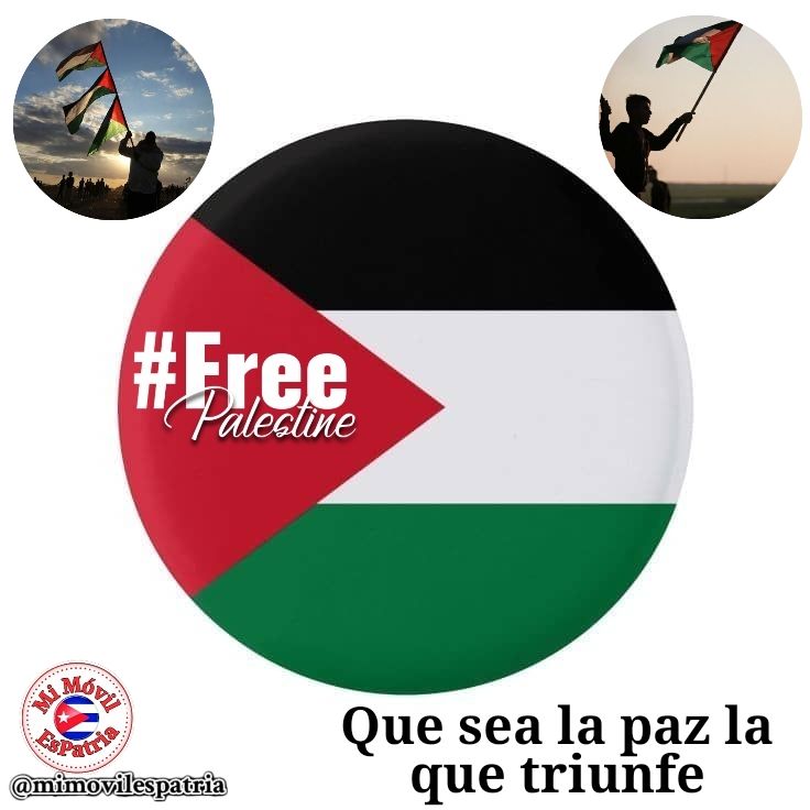 Nada justifica tanto horror, tantas muertes, nada justifica este genocidio contra el pueblo palestino. #FreePalestine #LatirAvileño #Cuba