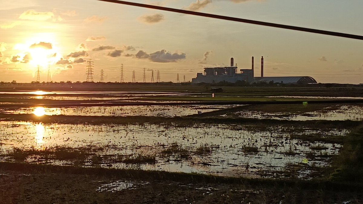 msaid_didu's tweet photo. PSN PIK-2 di Desa Lontar Kec Kemiri Kab. Tangerang :
1) sawah produktif pun "digusur" dg tawaran harga Rp 50.000 per meter
2) yg menolak akan hadapi banyak persoalan dari aparat, preman dll
3) tdk sedikit rakyat sdh "dipaksa" oleh kaki tangan pengembang sdh diberikan uang muka https://t.co/eZtmvpmP1J
