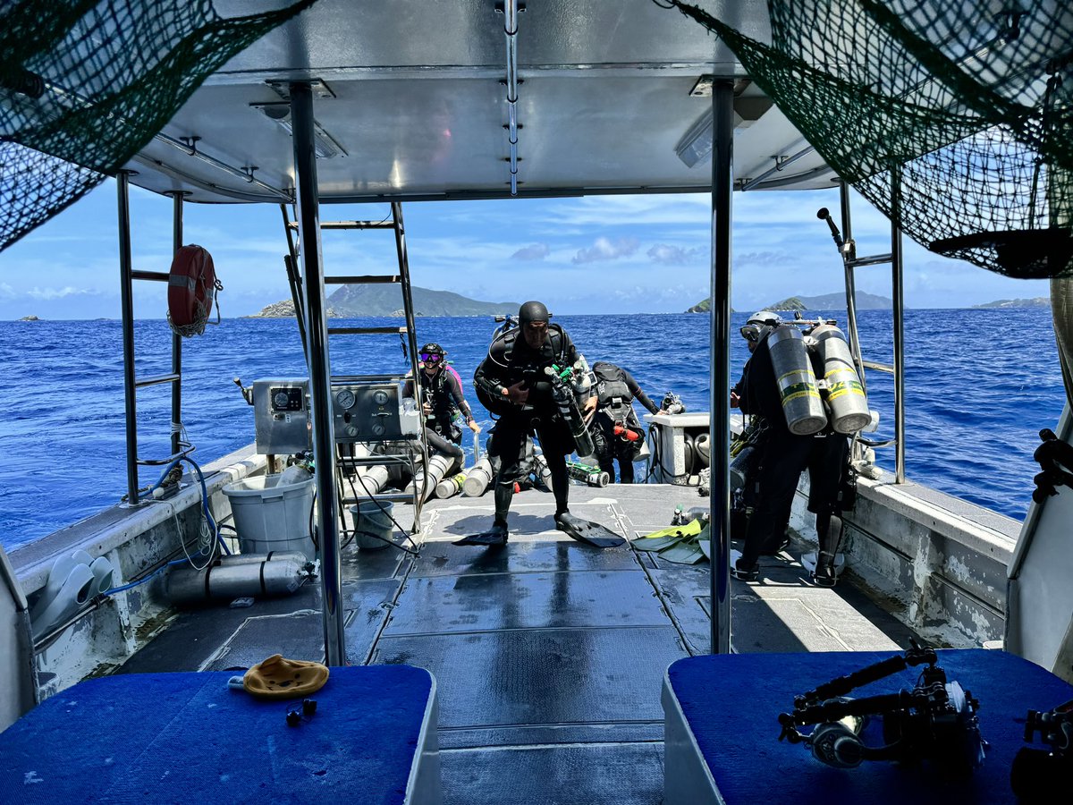 foresth915's tweet photo. Deep Wreck Deco Dive!
ディープな沈船減圧ダイブ!久しぶりの減圧ダイブでした🤿🚢
#deep #wreck #diving #boatdive #decodive #okinawa https://t.co/wJtHlAdKgQ
