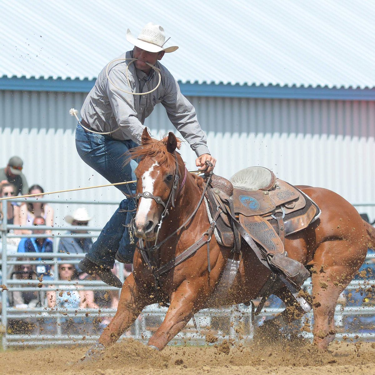 swbooster's tweet photo. The Frontier Days Rodeo wrapped up on Sunday @CCA_Rodeo @SCAGEX 

📷: STEVEN MAH https://t.co/Q9j8kKjt6Y