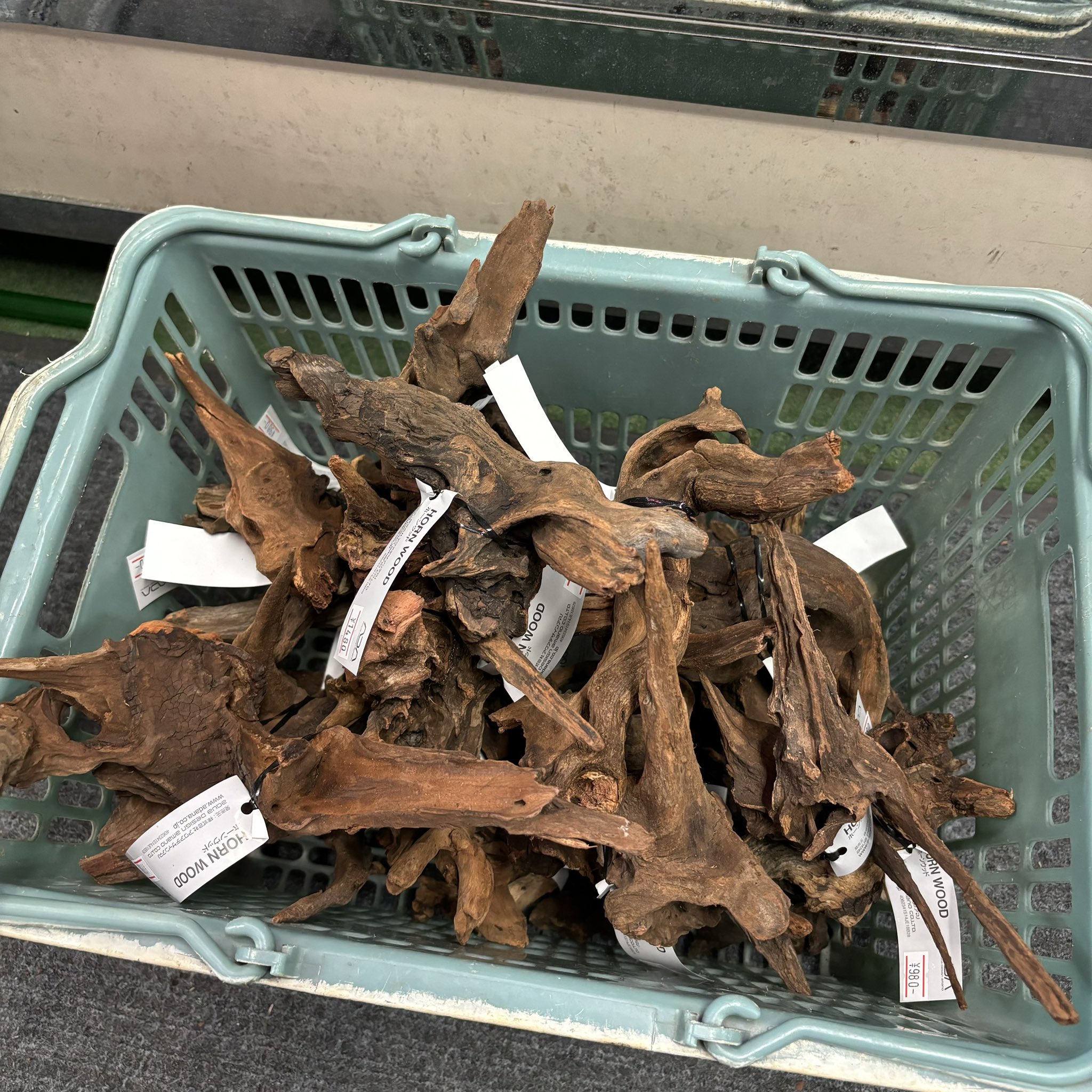 ADA ホーンウッドHORN WOOD L 未使用品⑥