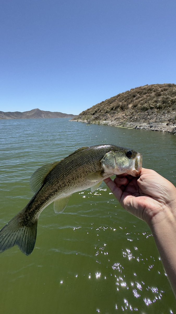 alexvnder's tweet photo. Lake Maxxing https://t.co/DepqXb3wAp