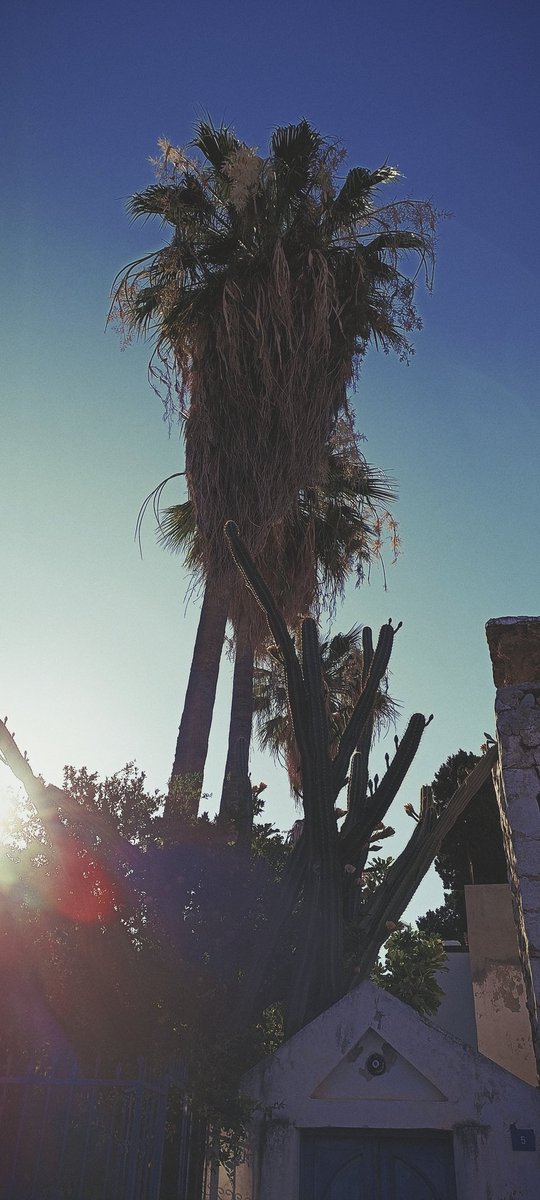 ganesha luv füğçır🦙 (@fugcir) on Twitter photo 