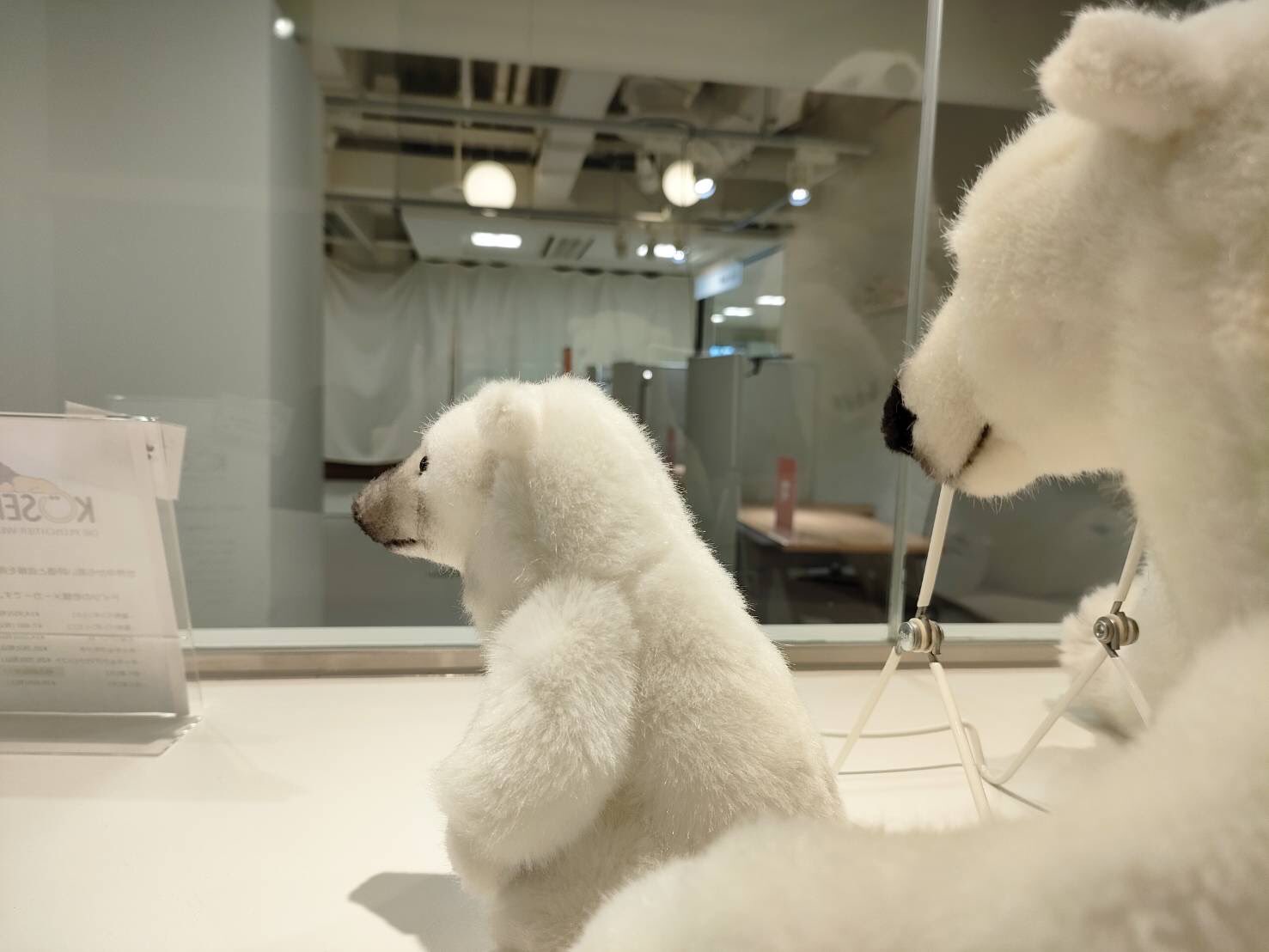 Atelier Nounours Sapporo rururu@ぬいぐるみ (@BioRururu) / X