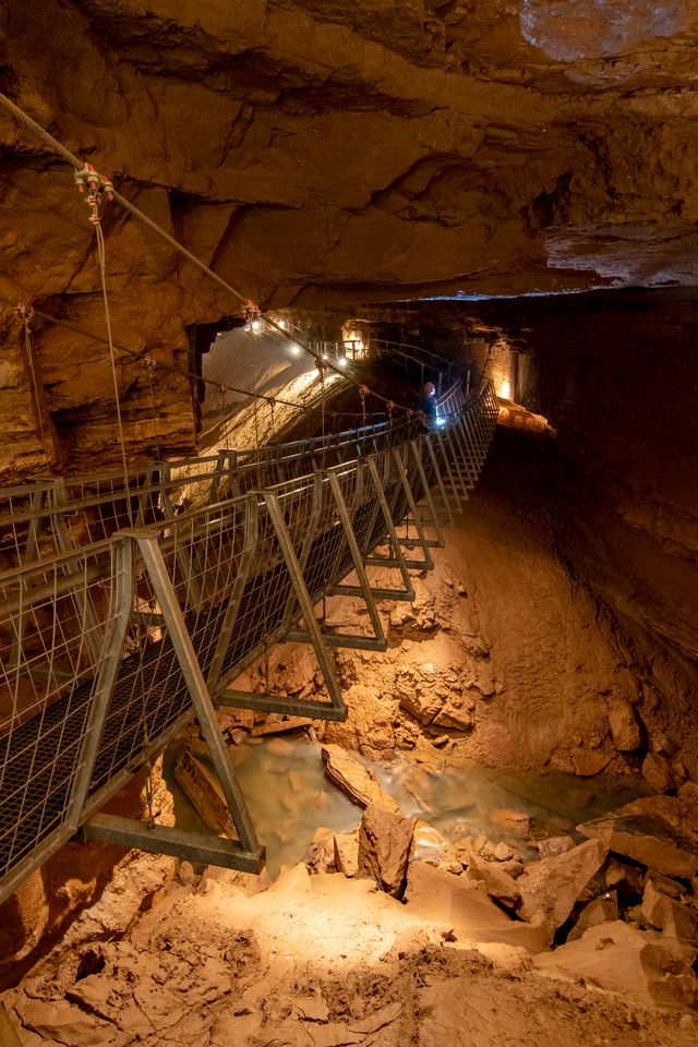 Explore Kentucky’s Caveland tweet media