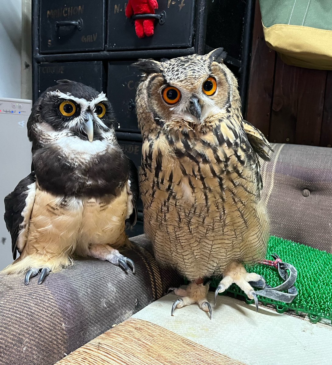 仲良さそうに見えるけど、そうでもないんです😅