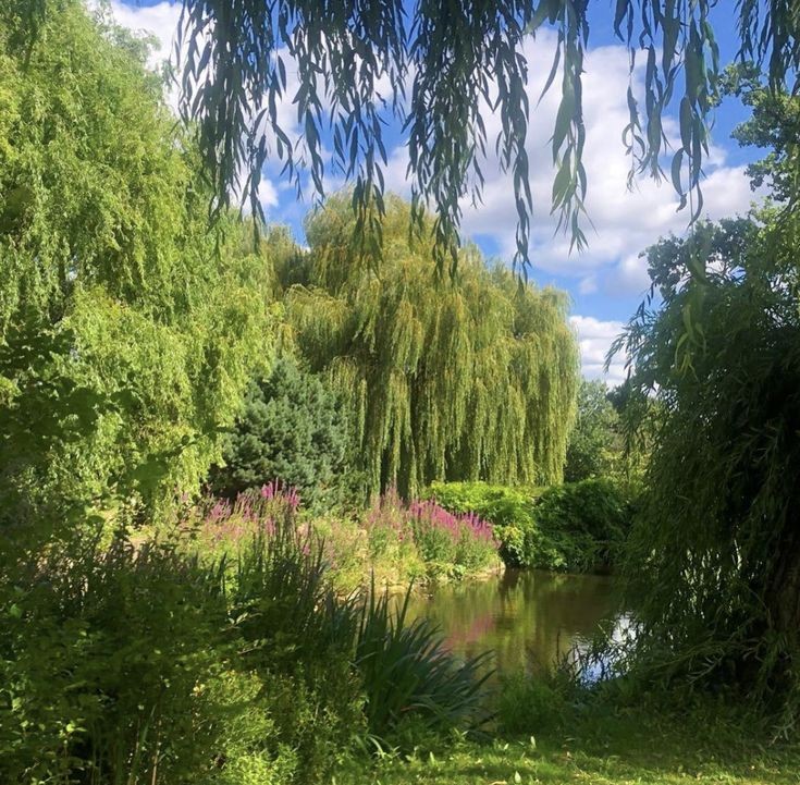 softdeIicacy's tweet image. enchanted world.