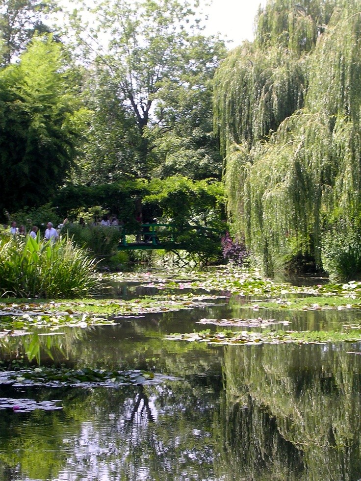 it's like monet paintings.