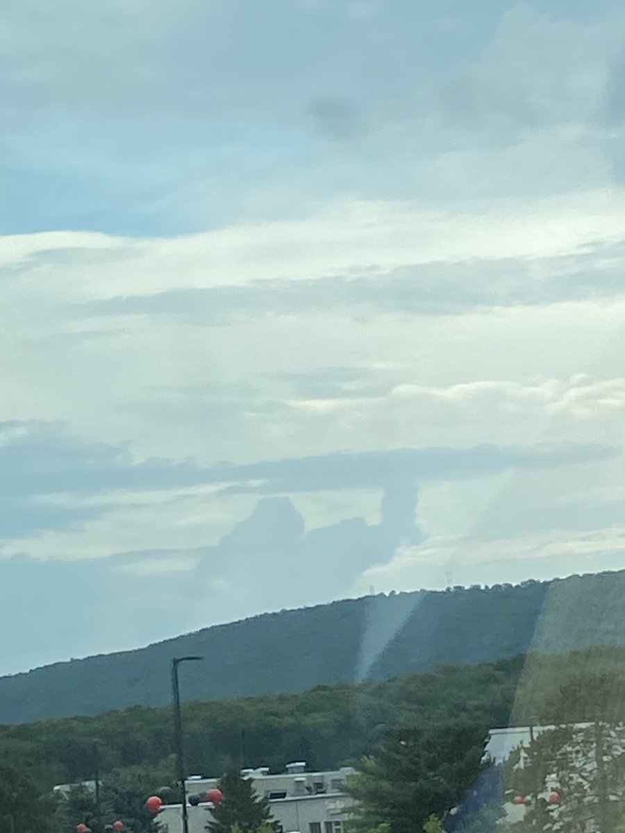 OneSpellWizard's tweet photo. It looks like they’re filming a new #KingKong movie in #Hostigos. I wonder if they need extras on the set? https://t.co/AAiJCJmDRA