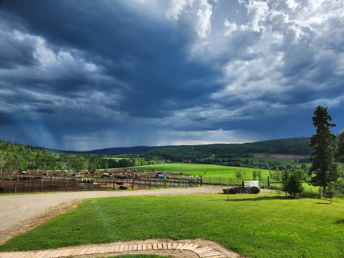 Bring on the liquid sunshine 🤠 #BCPeace