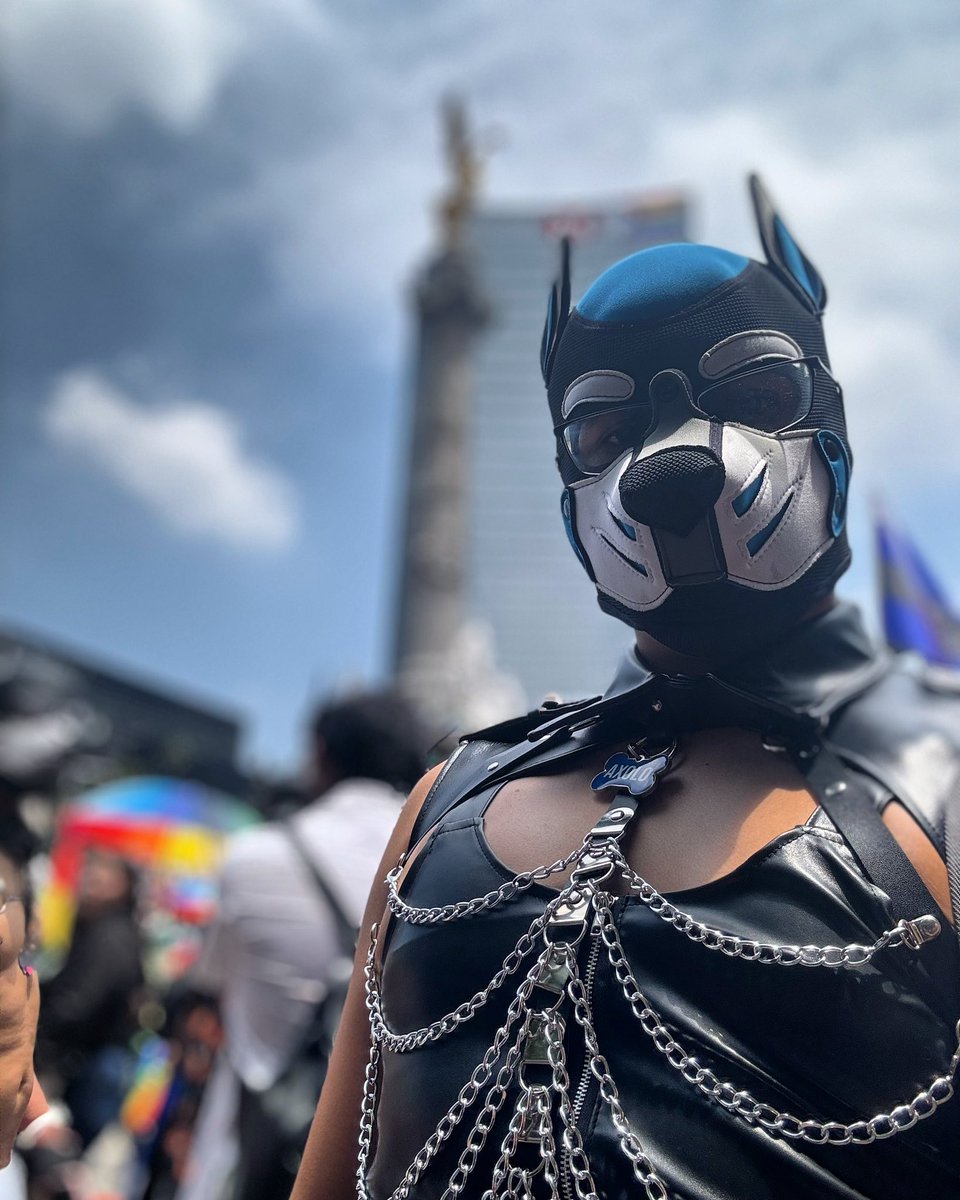 Axolo the Pup tweet media