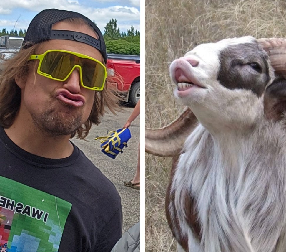 OutOffTheTrail's tweet photo. The goat.

#wxtwitter https://t.co/JpdfizUbjs