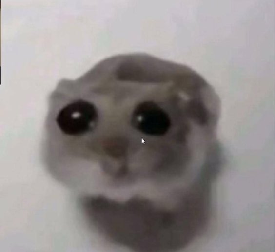 dookielt's tweet image. nadie piensa en tagliafico que solo metió un gol en lo que lleva en la selección era este cuando lo enfocaron en el gol anulado