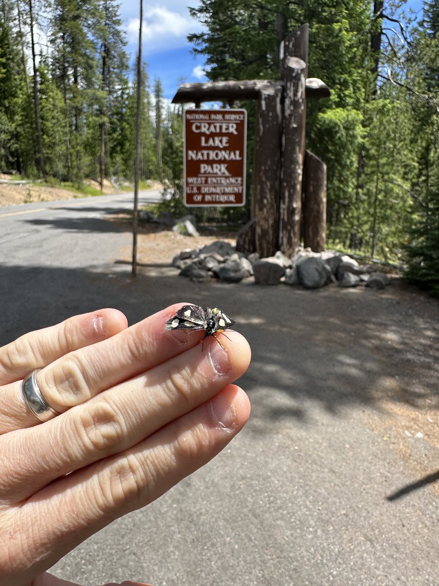 DrJimmySullivan's tweet photo. National park #50! @CraterLakeNPS We will finish this with you Asher. Shoutout to the butterfly
This book was fabulous! It HURT and I cried more tears than I thought possible, but several parts really spoke to me in my heart and my soul.#asherstrong @levilusko https://t.co/7KAaEHkw4g