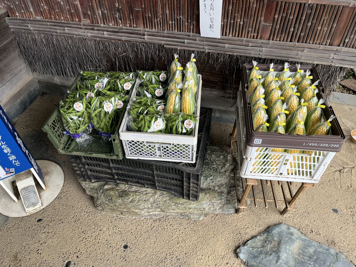 zinngorou's tweet photo. 今日の野菜
枝豆
とうもろこし https://t.co/Id4dyNAPNz