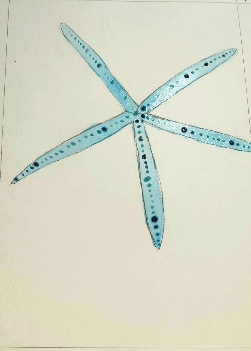shay_sweatt's tweet photo. Today's scenes from under the sea: Starfish!
#everdaywatercolor #painting #art #fineart #drawing #beachfun #snorkeling #deepseadiving #OCEANFRIENDS #summer #watercolorpainting #artist #ArtisticExpression #Brushstrokes https://t.co/yhDSmHtDnL