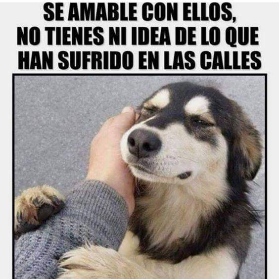 Buenas noches ✨💖