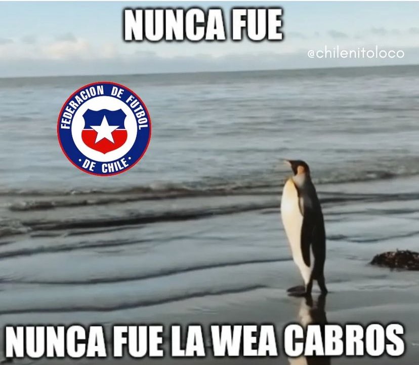ttritondnaranja's tweet photo. https://t.co/rBsj5bn0YW