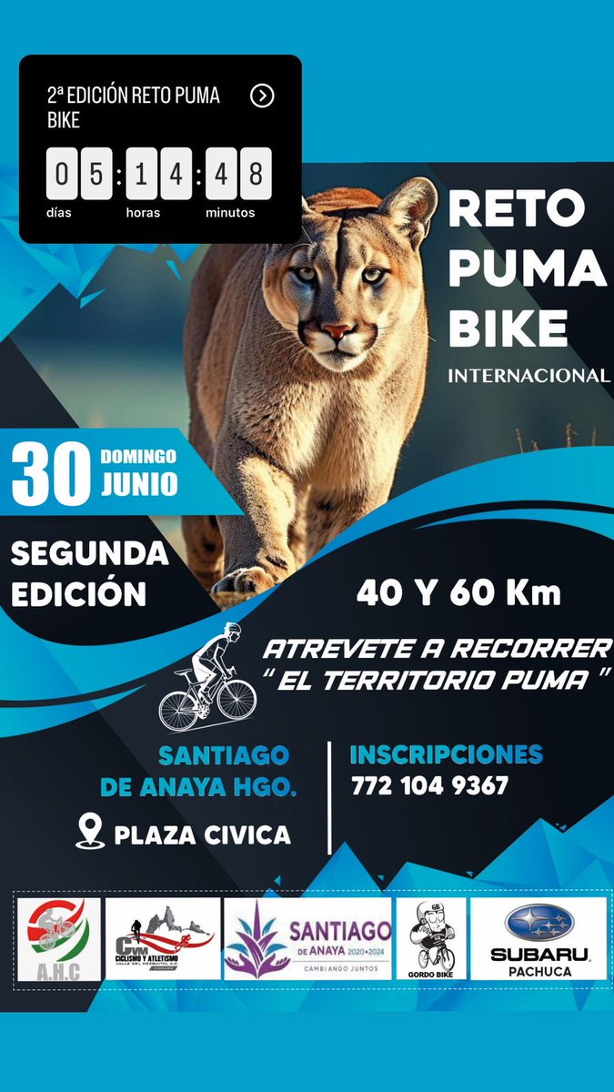 Vamos al #RetoPuma2024