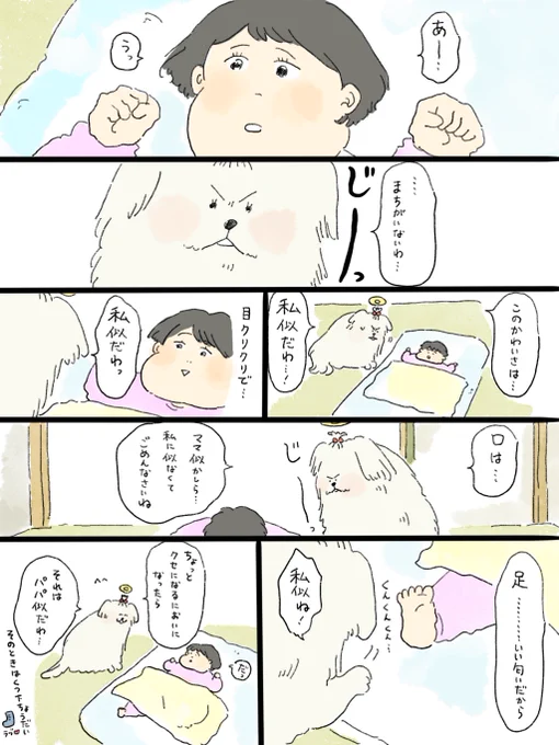 亡くなった犬が、赤ちゃんを眺める漫画。(天国シリーズおまけ)
いつも読んでくれて…ありがとう…🙇‍♂️ 